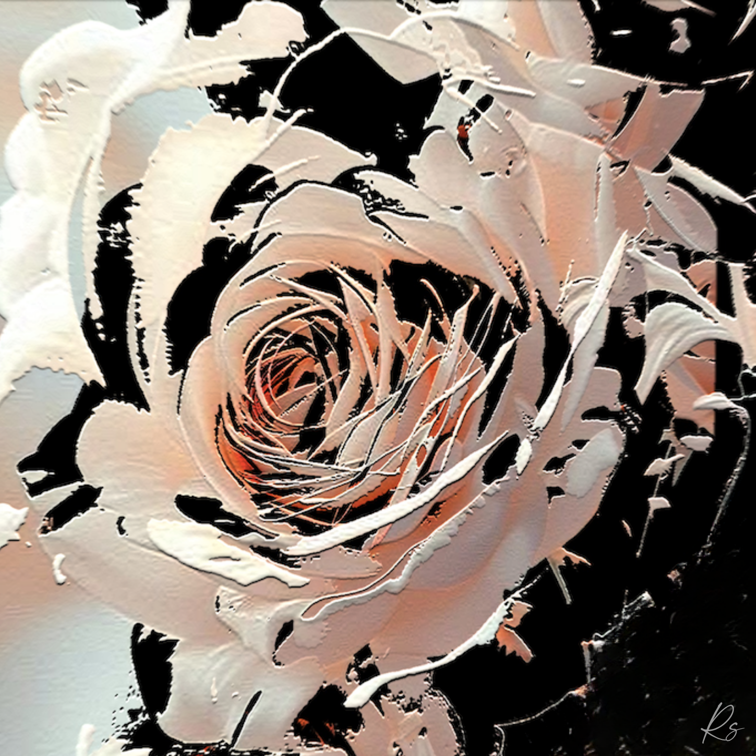 Rose — Full Bloom Collection